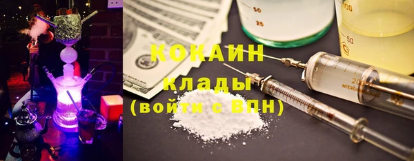 молекула духа Бердск